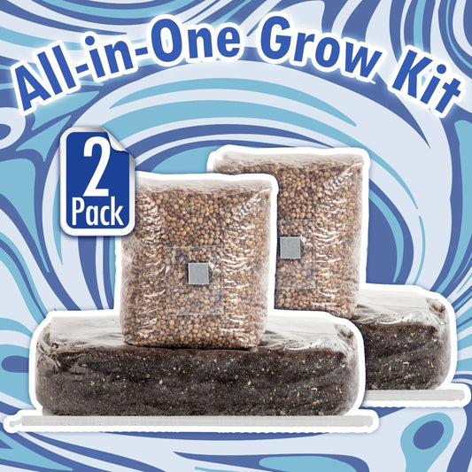 All-in-One Mushroom Grow Kit 6 lb | Sterile Grain & CVG Substrate | SurfinSpores.com