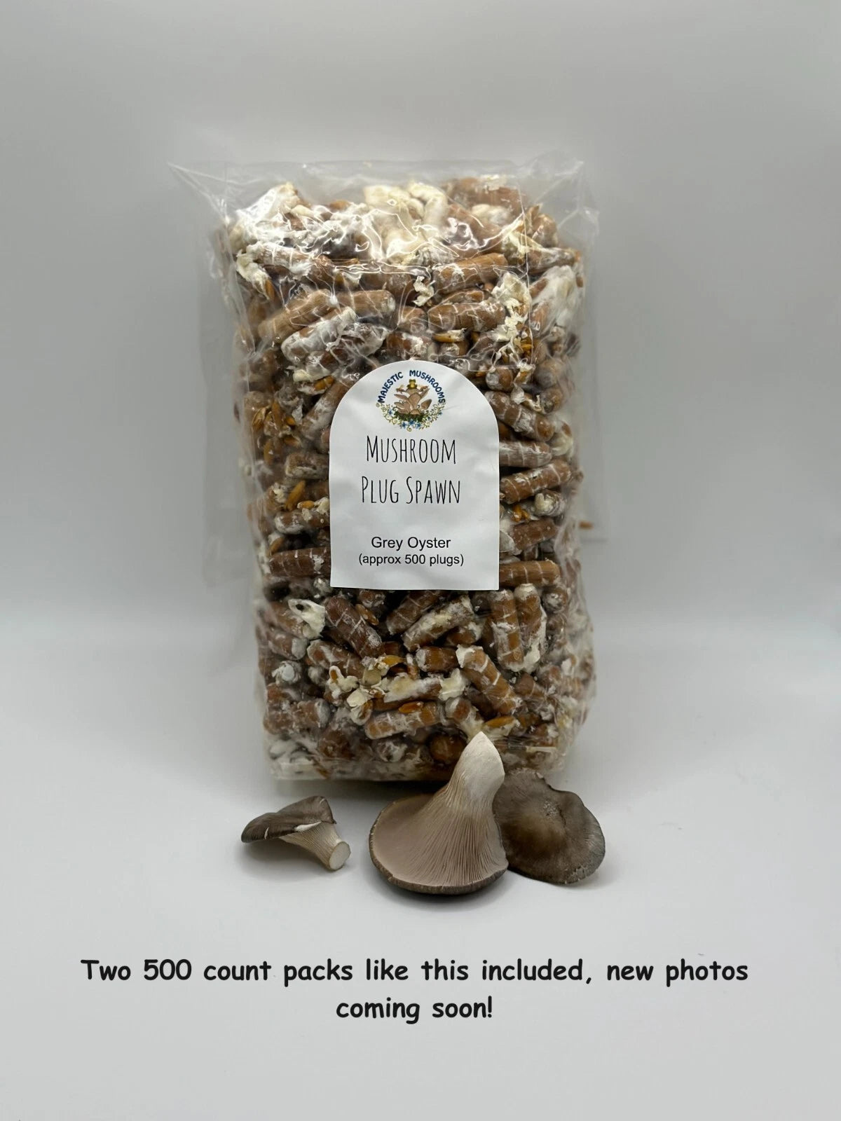 Grey Oyster Mushroom Plug Spawn 1000X - Certified Organic - Pleurotus ostreatus - Two Bags of 500 Plugs on Spiral Cut Dowels