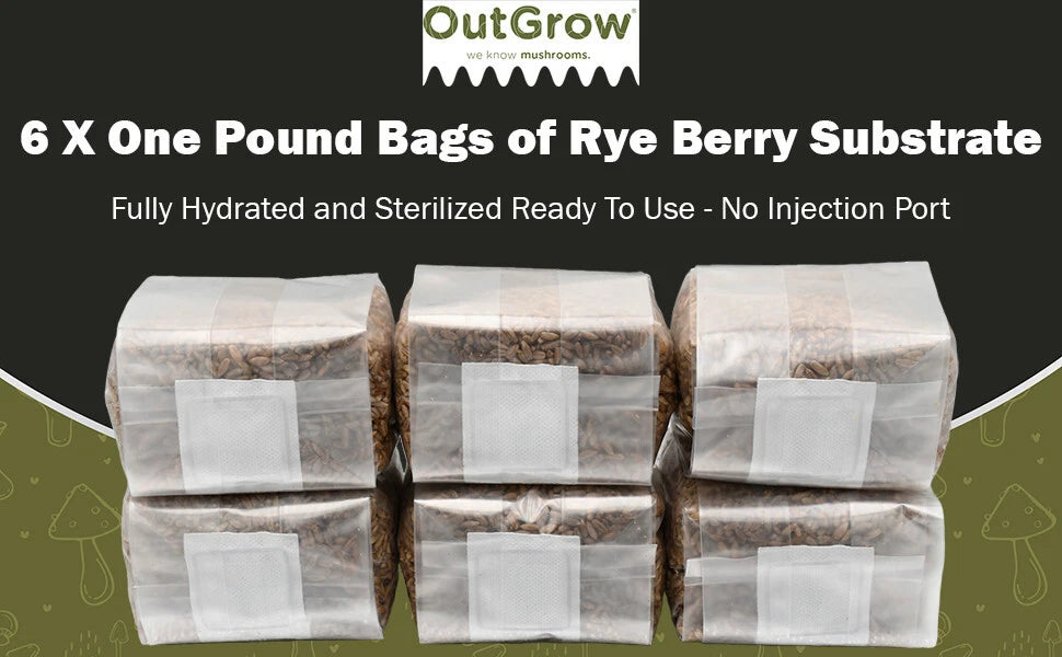 Sterilized Rye Berry Mushroom Substrate | 6 One-Pound Bags | No Injection Ports | Grain Spawn Bags | Out Grow