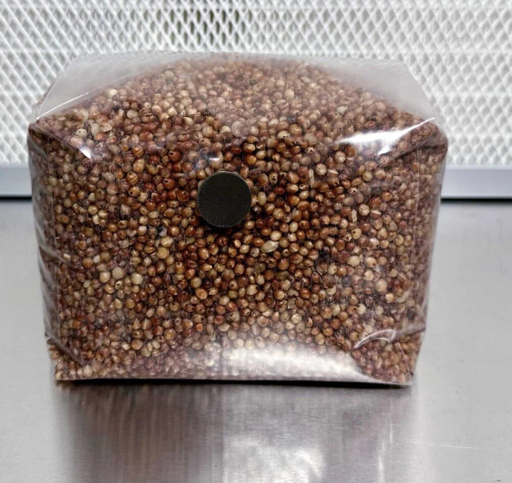 Organic Mushroom Spawn Bags - 6x3lb Hydrated & Sterilized with Injection Port - Unicon 10t Bag for Fungal Cultivation