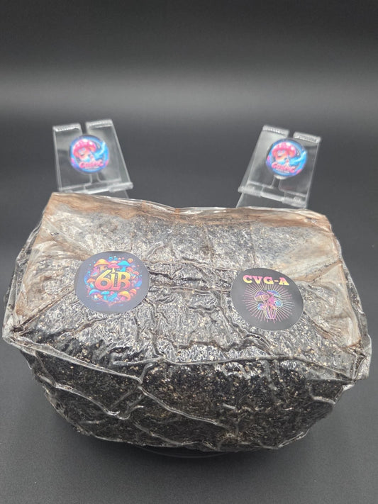 6lbs Mushroom Substrate CVG-A - Sterilized Coir, Vermiculite, Gypsum & Azomite - High Quality Mycology Supply