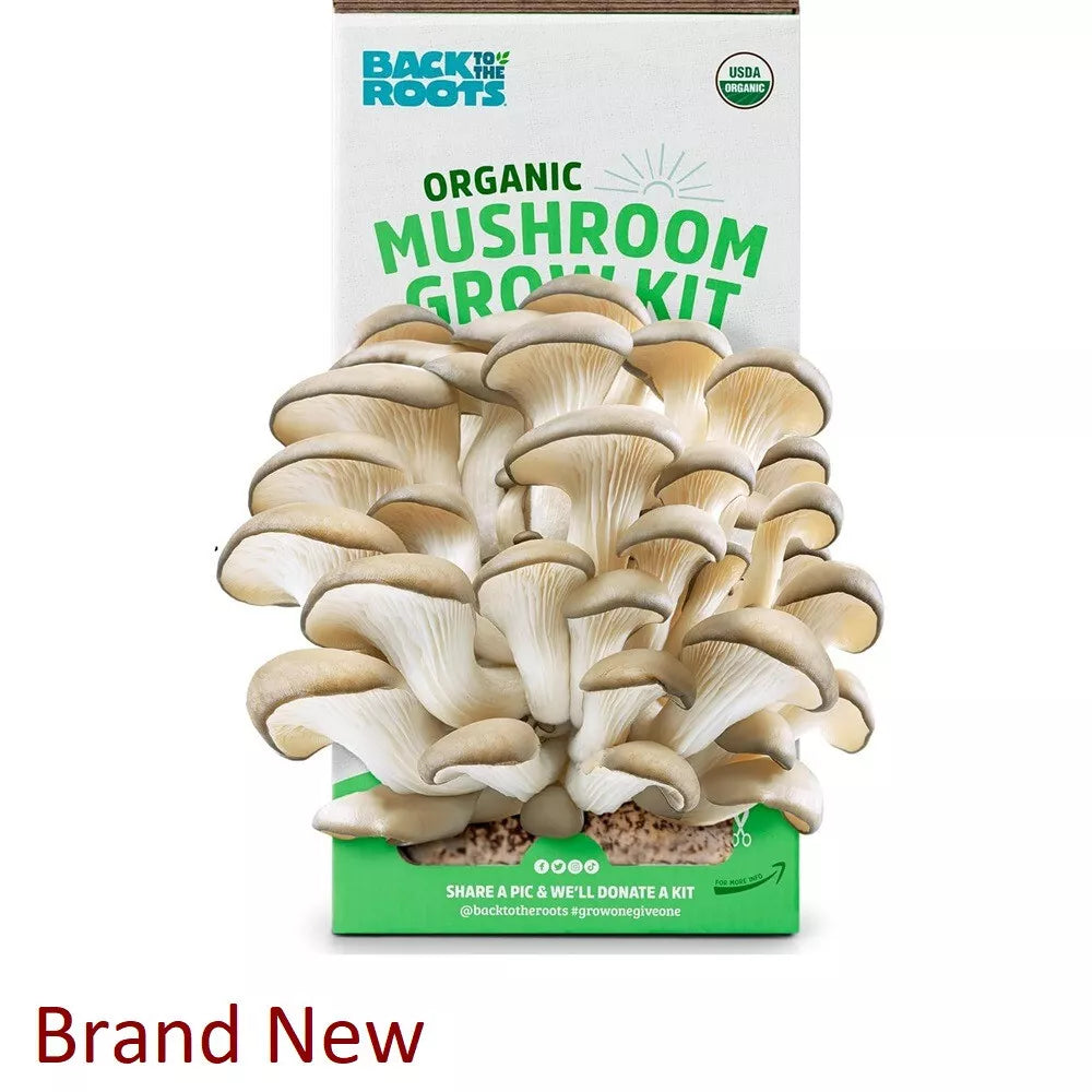 Organic Mushroom Growing Kit - DIY Indoor Oyster Mushrooms - Back to the Roots - Non-GMO, Beige Color