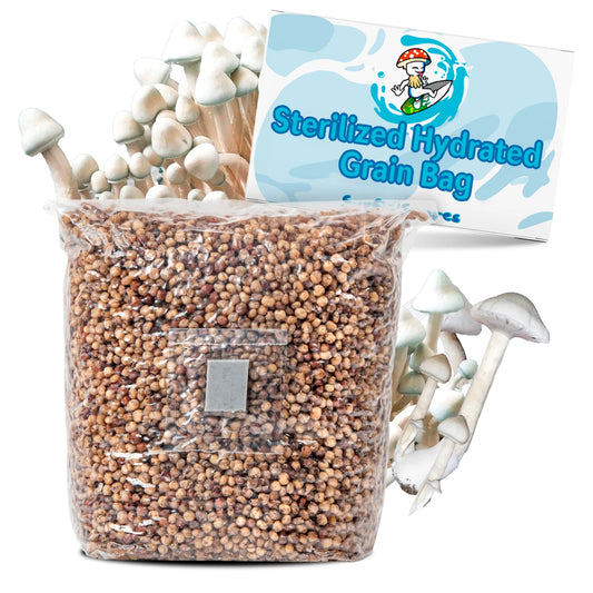 2lb Sterile Grain Bags for Mushroom Growing | White Milo with Injection Ports | Premium Mycelial Substrate