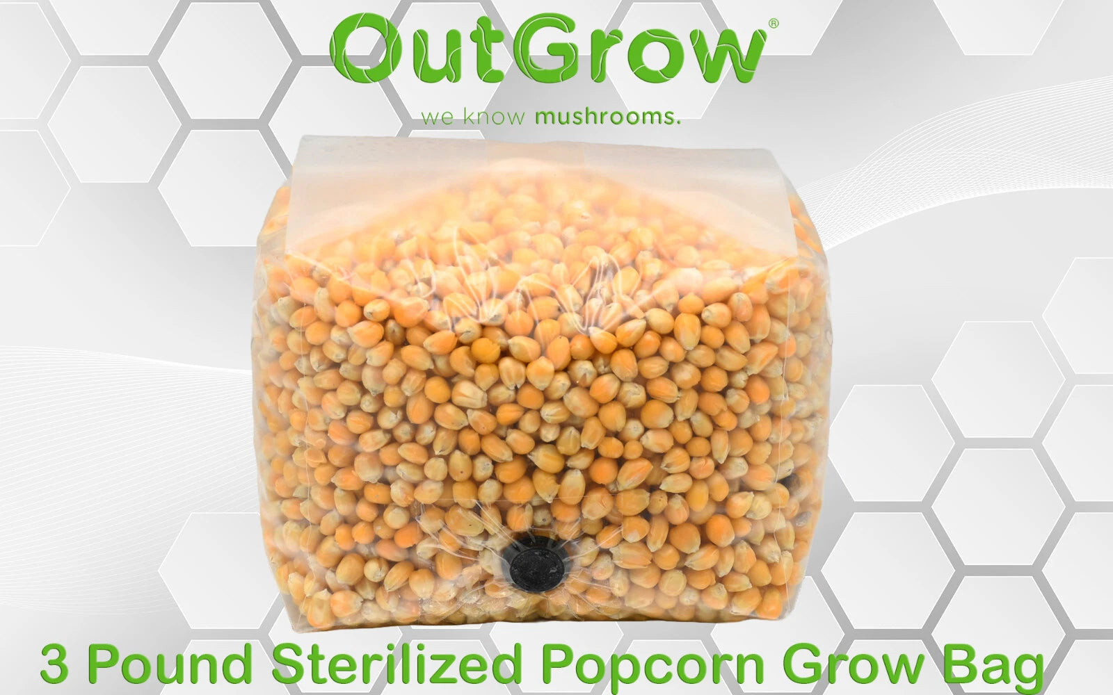 Popcorn Mushroom Grow Bag 3lb - Sterilized Substrate for Mycelium - Out-Grow's Hydrated Popcorn Substrate for Easy Cultivation