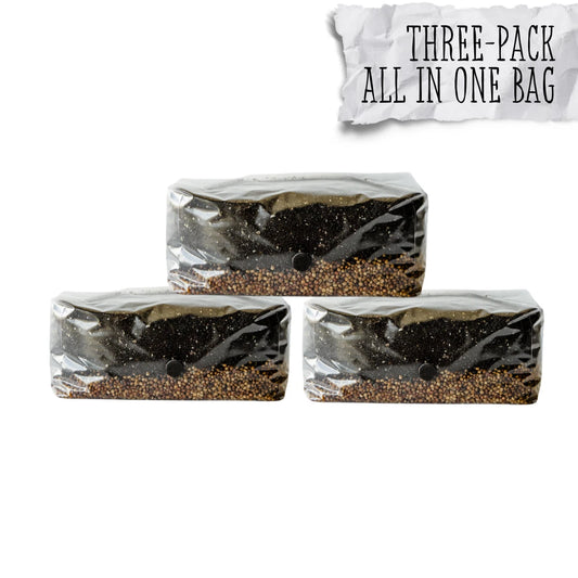 3 Pack Mushroom Grow Kit | 6 lb All-in-One Bag | Easy to Use | Spores Not Included | Grow Fresh Mushrooms at Home