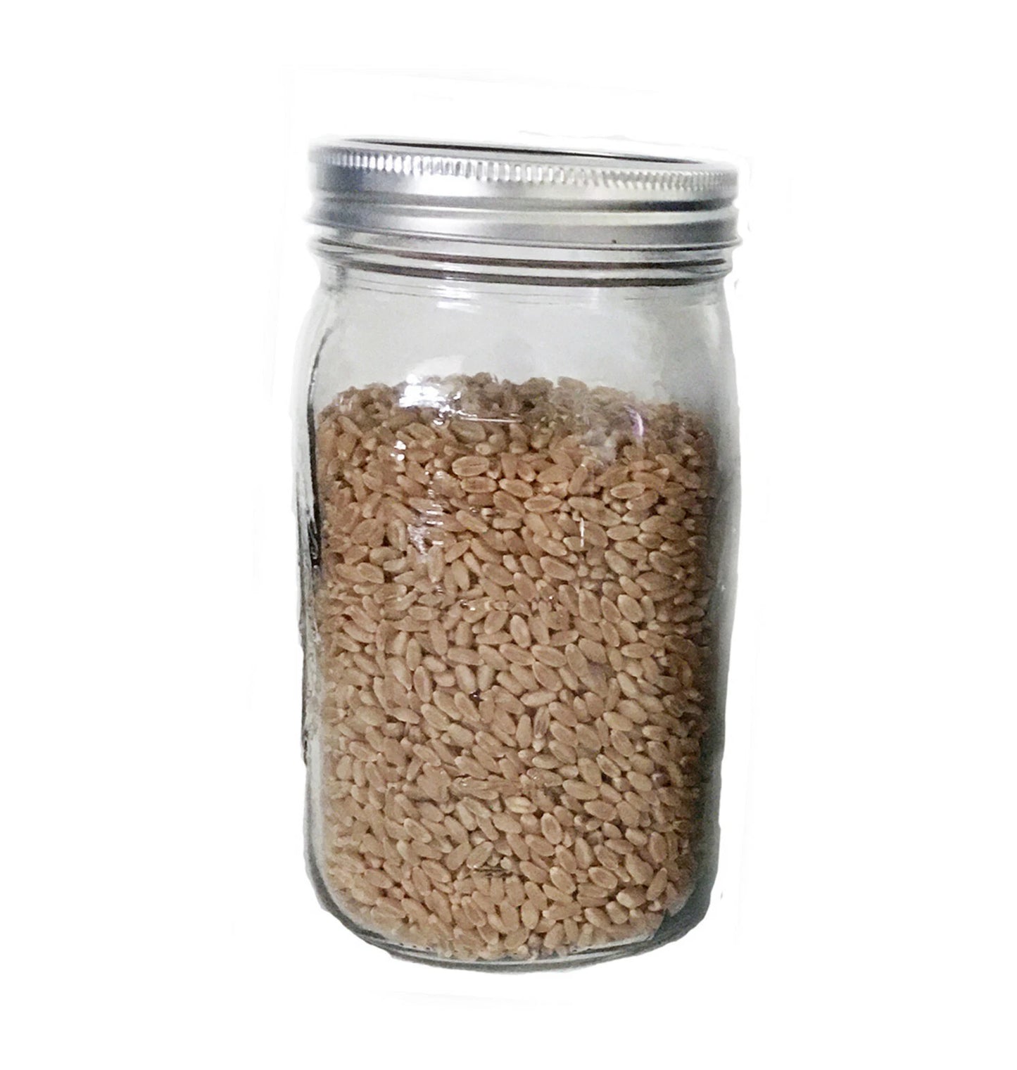 Wheat Grain Mushroom Spawn Jar 32oz Sterilized White Wheat Berries with Injection Port & .22 Micron Filter
