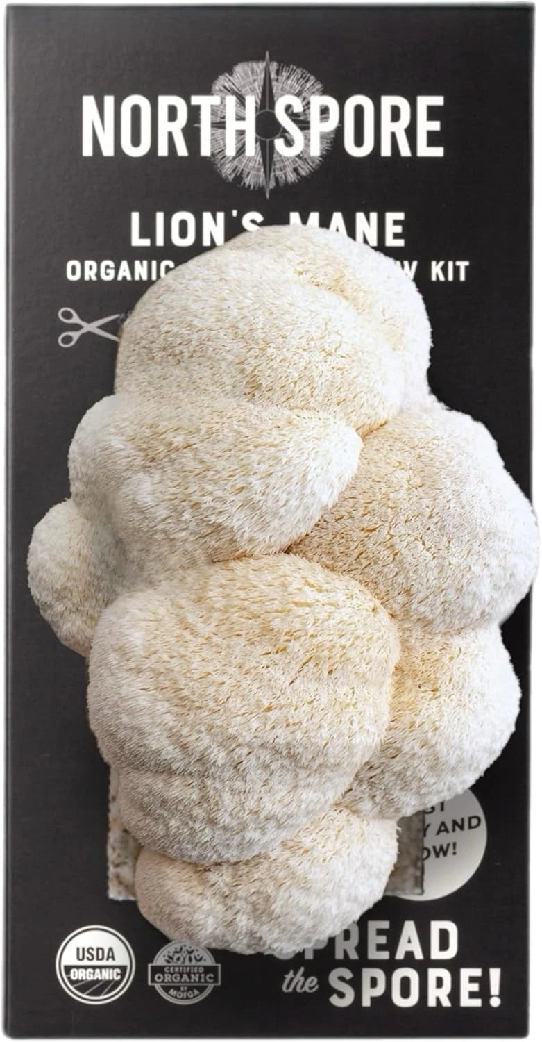 Organic Lion's Mane Mushroom Grow Kit, 4 lb Spray & Grow, North Spore, USDA Certified, Easy Home Cultivation, Gourmet Flavor