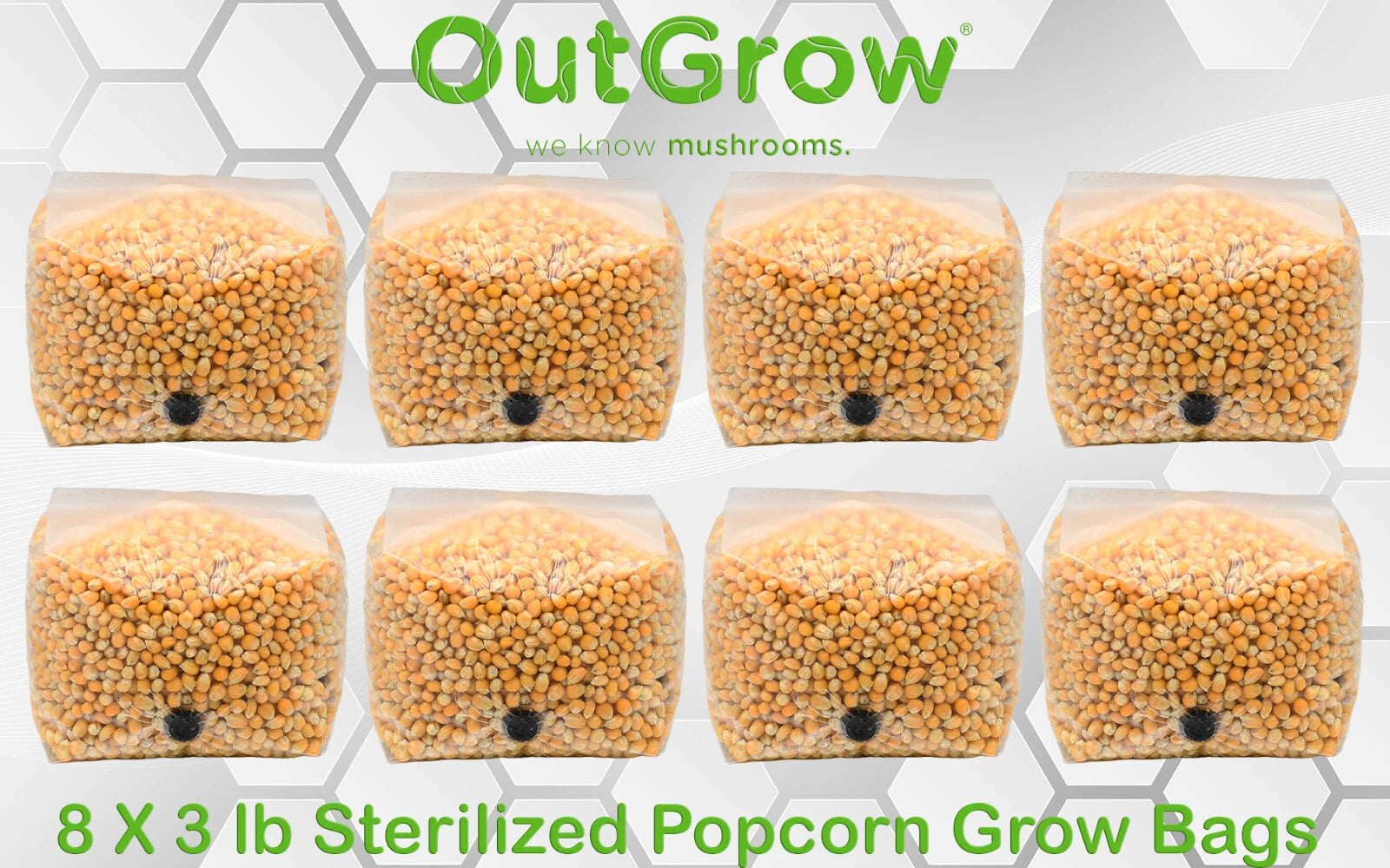 Popcorn Grow Bags 3lb (Pack of 8) - Sterilized Mushroom Substrate for Mycelium Growth - Ideal for Cultivation and Inoculation