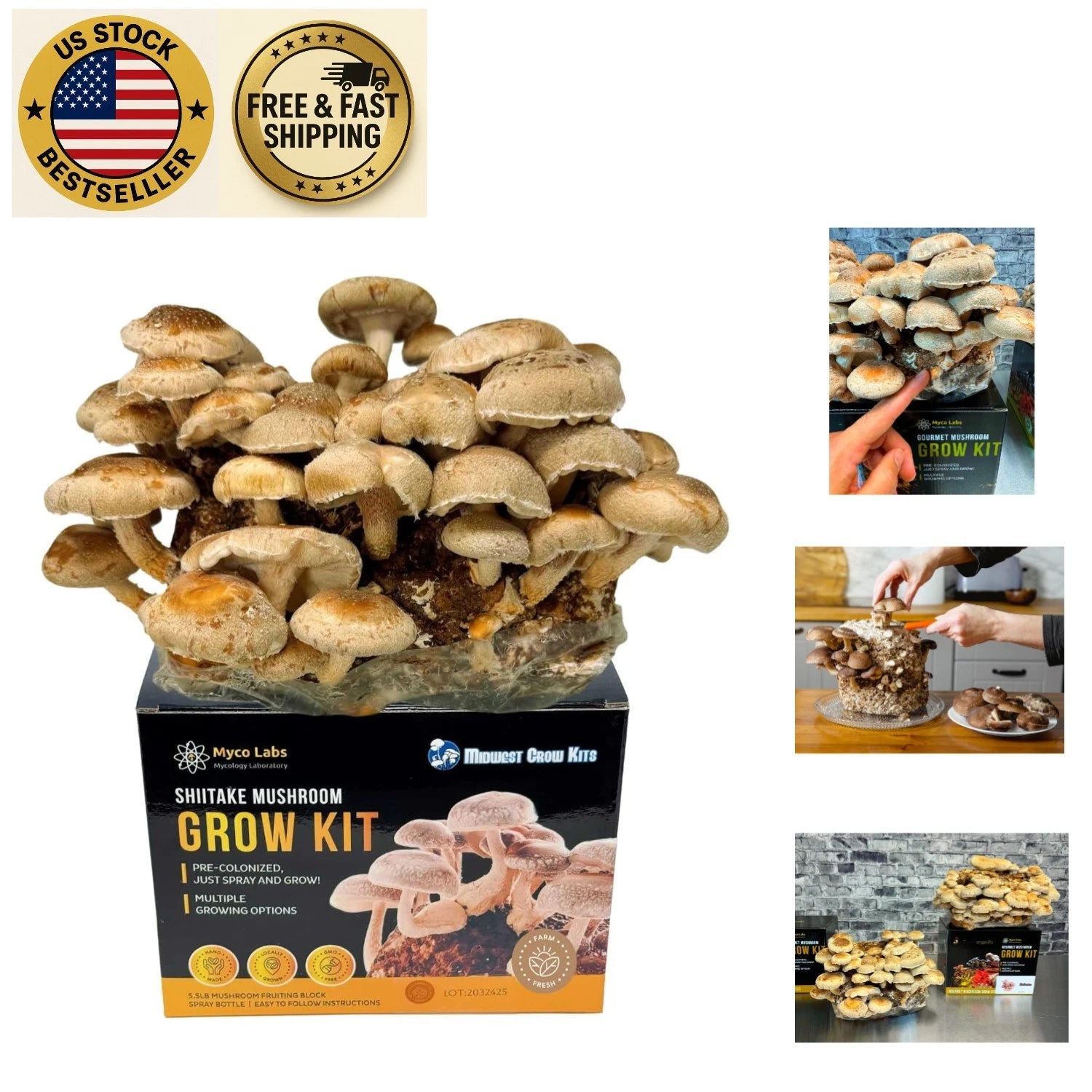 Shiitake Mushroom Grow Kit - 5.5LB Fruiting Block - Gourmet Shiitake - Easy Indoor Gardening, Rich Flavor, Nutritional Benefits