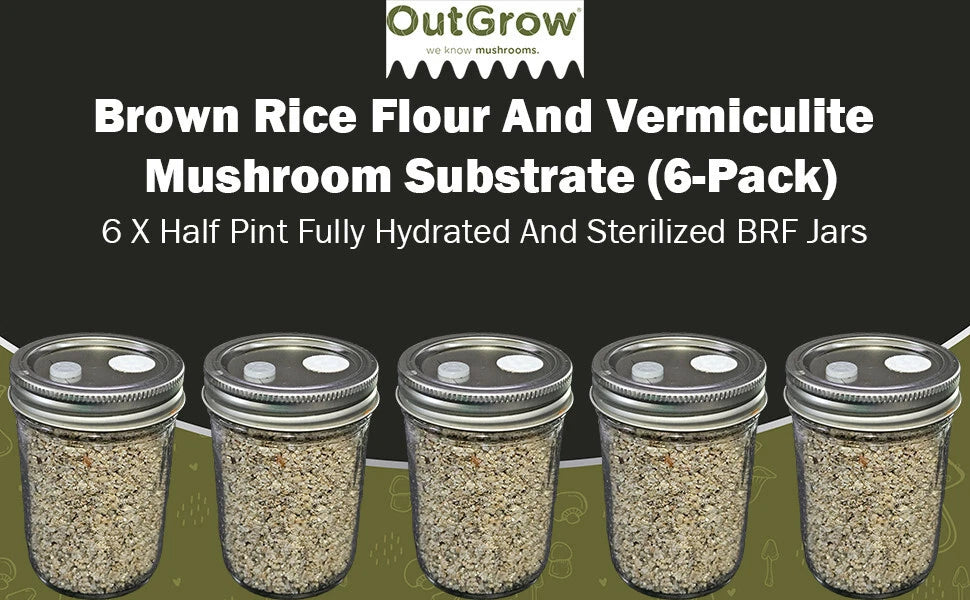 BRF Jars 6 Pack - Brown Rice Flour Mushroom Substrate for Cultivation - Mycelium Growth Boosting Medium