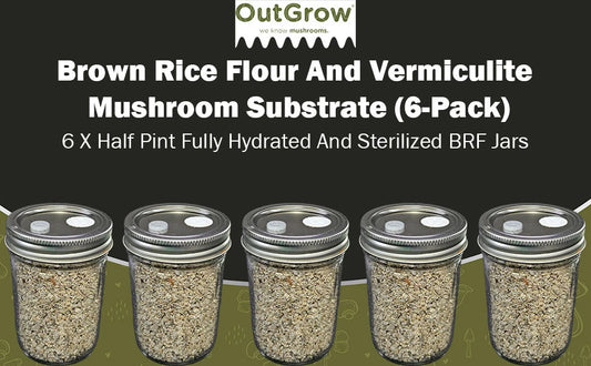 BRF Jars 6 Pack - Brown Rice Flour Mushroom Substrate for Cultivation - Mycelium Growth Boosting Medium