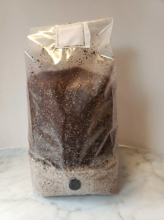 4 LB All in One Mushroom Growing Bio-Bag Kit - Sterilized Substrate + Rye Grain Spawn - Fresh Coco Coir/Vermiculite Mix