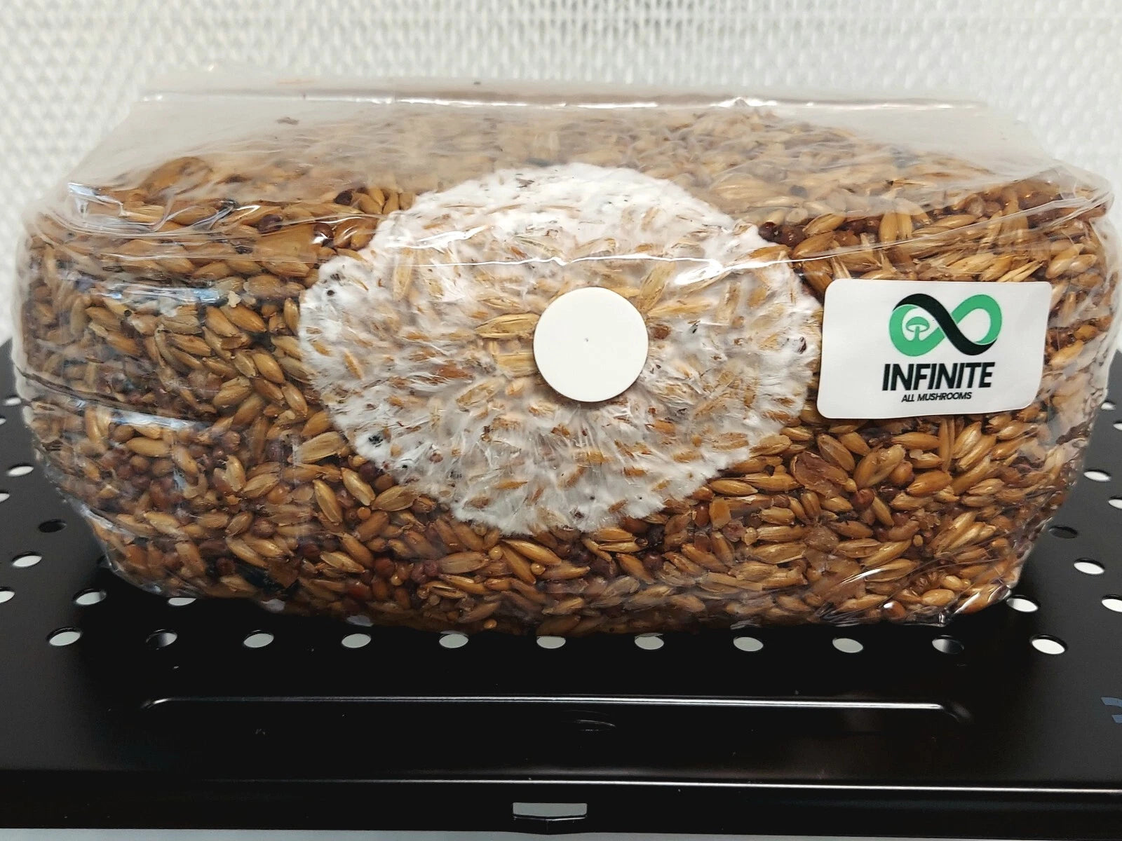 Pre-Innoculated Sterile Grain Bag 4 lb (2 PACK) - Wheat & Oats Blend with 0.2 Micron Filter Patch - Ideal for Mushroom Cultivation