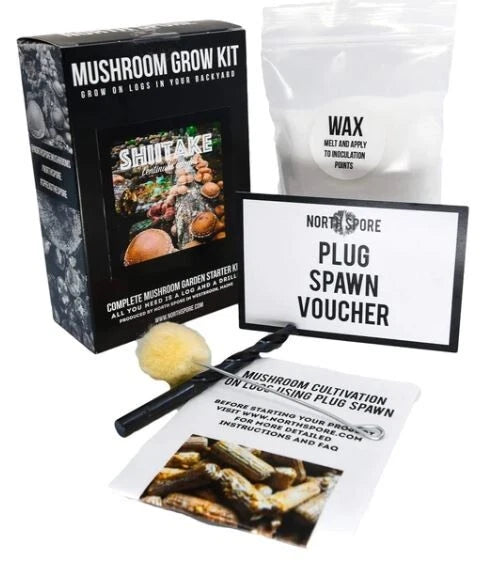 Organic Shiitake Mushroom Log Kit - Medium, Lentinula edodes, Includes Spawn Voucher, Wax, Drill Bit & Instructions