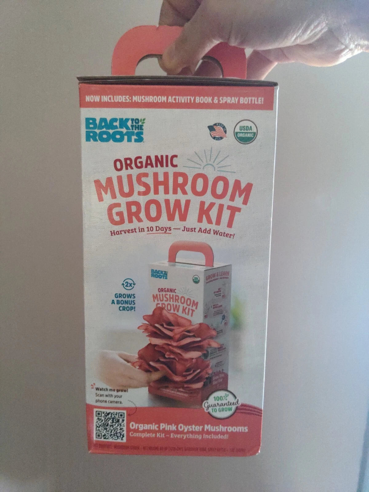Organic Pink Oyster Mushroom Grow Kit | Back to the Roots | Includes Spray Bottle | Indoor Gardening Starter