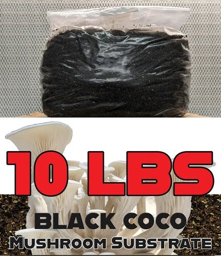 10 LBS Black Coco Mushroom Substrate - Organic Coconut Coir for Mushroom Cultivation - Nutrient-Rich Growing Medium