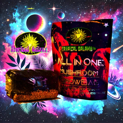 2lb All-in-One Mushroom Grow Bag - Grow Shiitake, Oyster, Lion's Mane - Easy Home Cultivation - Organic Substrate
