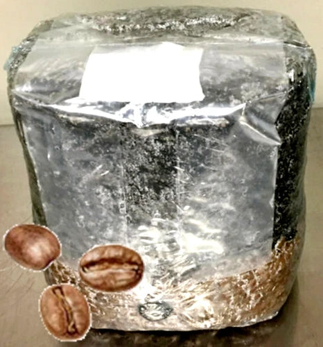 All-in-One Mushroom Grow Bag - Easy-to-Use Kit for Shiitake, Oyster & Lion’s Mane - Indoor Gourmet Mushroom Cultivation