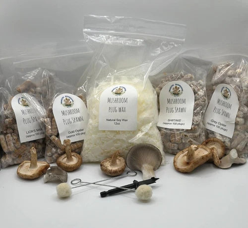 Mushroom Plug Spawn Variety Pack (4x100) & Drill/Wax Combo for Gourmet Mushroom Cultivation - Various Species