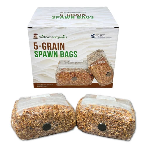 Premium 5-Grain Mushroom Spawn Bags | Sterilized Grain Bags with Injection Ports | Mycology Supplies for Indoor Cultivation