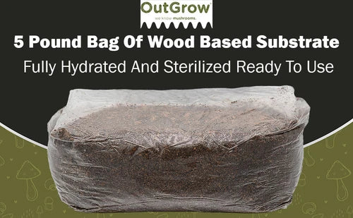 5 lb Sterilized Hardwood Mushroom Substrate - Ready to Use for Wood-Loving Fungi - Ideal for Shiitake, Maitake, Lion's Mane