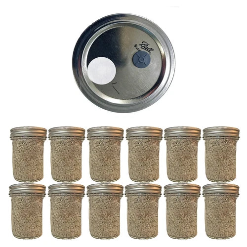 BRF Jars Mushroom Substrate Kit - Organic Mushroom Growing Kit for Home Cultivation - Agaricus bisporus