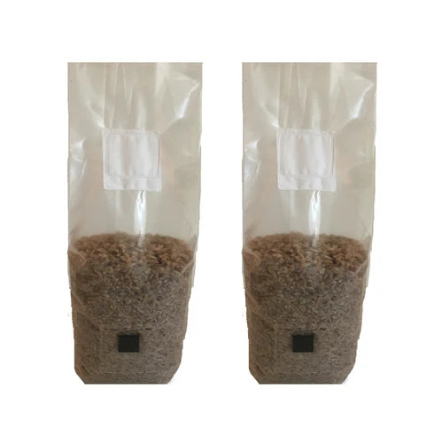 Rye Grain Mushroom Substrate Bags 4 lb - Organic Sterilized Rye Berries with Injection Port & Filter - Ready to Inoculate