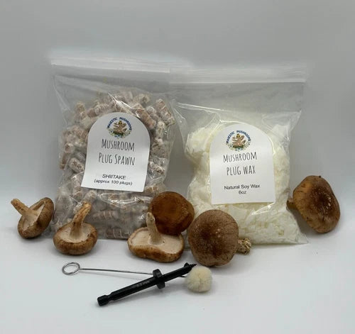 Shiitake Mushroom Plug Spawn 100x Combo Pack with Drill Bit & Wax | Lentinula edodes | Grow Your Own Mushrooms