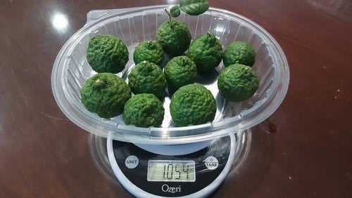 1lb Fresh Kaffir Lime Fruits, Chanh Thai, Chanh Ba Chuc, Chanh So 8 - Citrus hystrix, Golf Ball Size