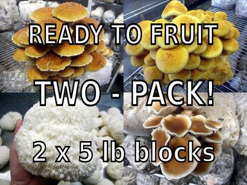 Mushroom Kit Multi-Pack - Your Choice Varieties - Organic & Easy to Grow - (Various Scientific Names)