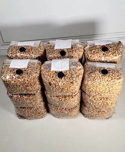 30 Pack Bulk Mushroom Oat Grain Bags with Injection Port & .2 Micron Filter - Sterilized Oats for Fungal Cultivation