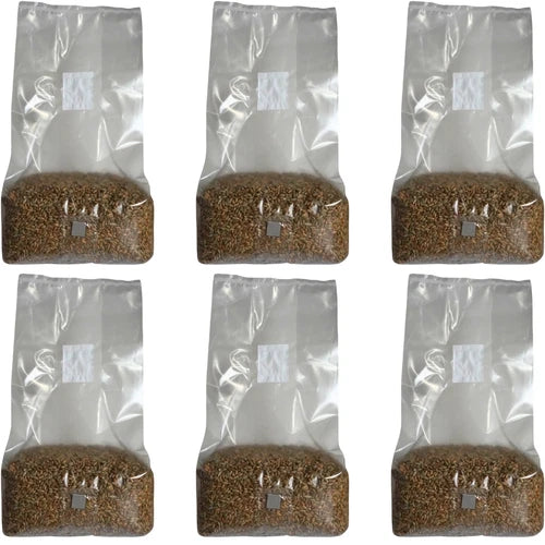Mushroom Spawn Bags 5-Pound Pack of 6 Organic Grain Spawn - Sterile with Self-Healing Injection Port - Ideal for Beginners