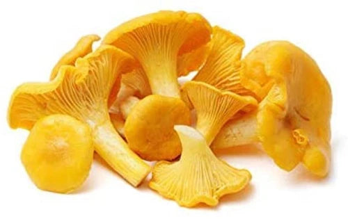 Chanterelle Mushroom Spores Garden Grow Kit 40g - True Chanterelle Spores (Cantharellus cibarius) in Sawdust Bag