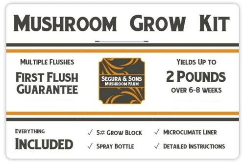 Pioppino Mushroom Grow Kit - 5.5 lb Block - First Flush Guarantee - Pleurotus ostreatus - Home Cultivation