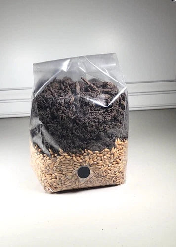 All-in-One Mushroom Grow Bag 4 lbs - Premium Nutrient-Rich Substrate for Fresh Mushrooms - Ideal for Home Cultivation