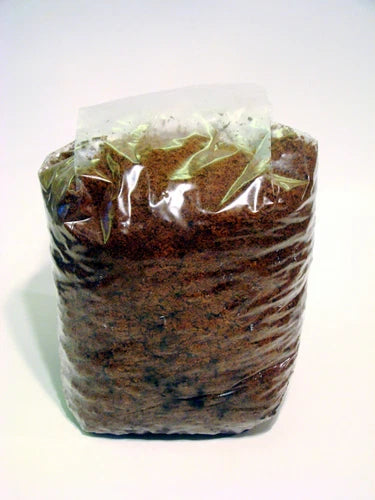 Mushroom Bulk Substrate 5+ LBS Hardwood Sawdust Sterilized for Growing Mushrooms