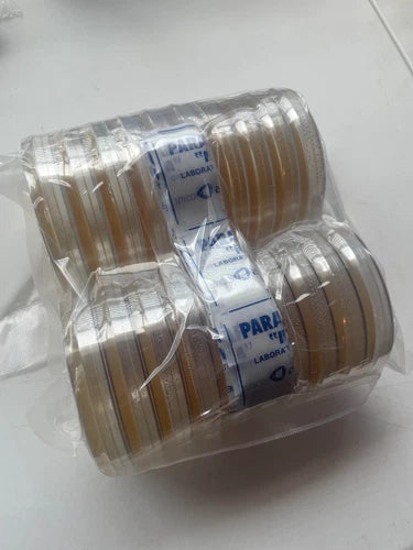 20 Sorghum Yeast Pre-Poured Agar Plates - Sterile Petri Dishes with Parafilm Strips for Culturing Microorganisms