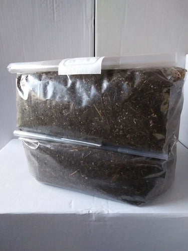 Horse Manure Compost Bulk Mushroom Substrate 4-5 lbs Bags Organic Enhancers, Cottonseed & Alfalfa Meal, Sterilized
