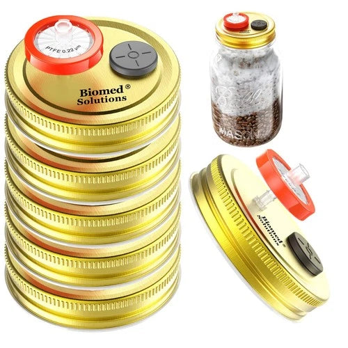 6Pcs Mushroom Liquid Culture Lids - Regular Mouth Golden Tinplate - Autoclavable for Grain Spawn Cultivation - Biomed Solutions