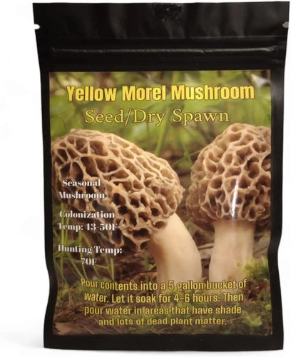 Yellow Morel Mushroom Seed Dry Spawn - Morchella esculenta - Gourmet Edible Mushroom Cultivation for Home Gardens