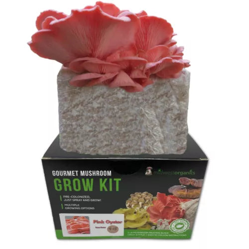 Pink Oyster Mushroom Grow Kit 5 lb - Pleurotus djamor - Indoor Gardening, Easy to Use, Gourmet Flavor, Eco-Friendly