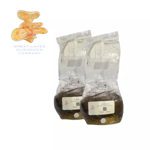 All-in-One Mushroom Master Mix 2-Pack, 5lb Sterilized Bags for Wood-Loving Mushrooms, Great Lakes Mushroom Company