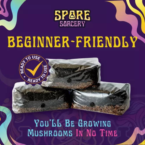 6 Pack Mushroom Grow Kit 6lbs All-in-One Pleurotus ostreatus Oyster Mushroom Cultivation Home Gardening Indoor
