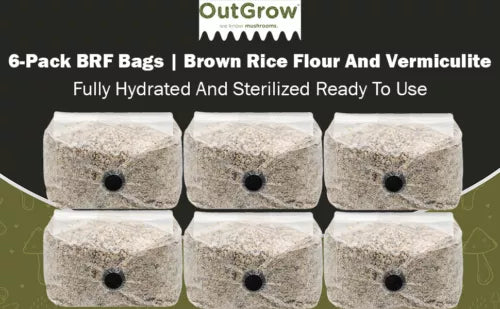 BRF Mushroom Substrate Grow Bags 6 Pack - Pre-Sterilized for Shiitake, Oyster & More - High-Yield Cultivation Solution