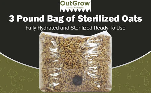 Whole Oats Mushroom Substrate 3 Quart Sterilized Grain Spawn with Injection Port - Out-Grow (Avena sativa)