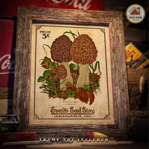 Morel Mushrooms Art Print 11x14 Mushroom Hunting Decor Gift - Thick Paper, USA Made, Nature Wall Art