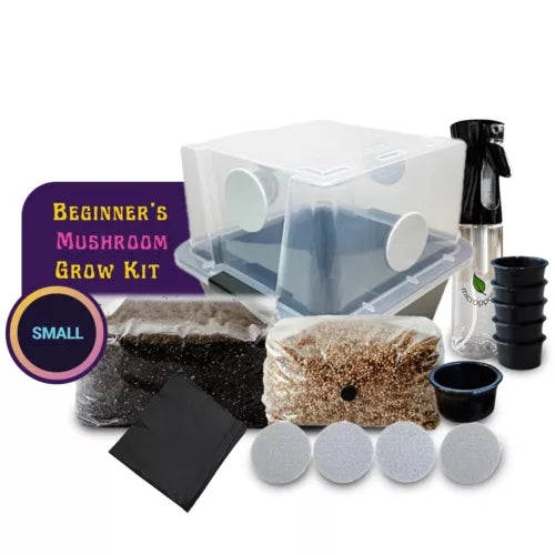 Small Mushroom Grow Kit for Beginners | Indoor Cultivation with Bulk Substrate | Agaricus bisporus (Common Button Mushroom)