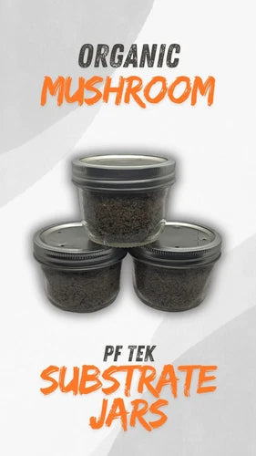 Organic Mushroom Substrate Jars - PF Tek BRF Sterilized Half Pint - Fast Growing Mushroom Cultivation - Ideal for Liquid Culture