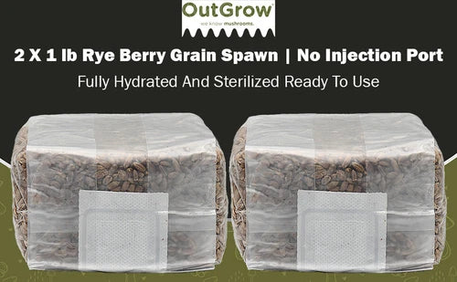 Rye Berry Grain Spawn | 2 x 1 lb Sterilized Bags | Secale cereale | Mushroom Cultivation Supplies by Out Grow