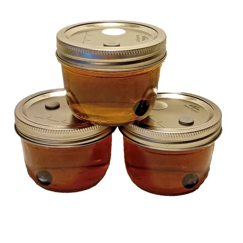 Ready to Use Sterilized Liquid Culture - 3x200ML Jars for Mushroom Propagation - Mycelium Culture Kits for Indoor Growing